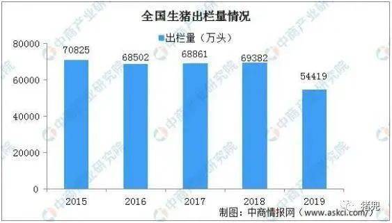 最新猪,最新猪的养殖技术与发展趋势分析