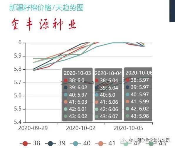 棉花最新价格,棉花最新价格动态分析