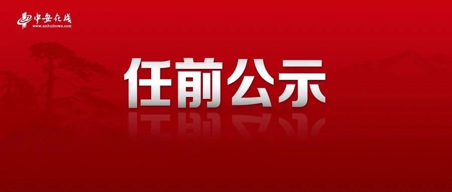 最新任前公示,最新任前公示制度及其影响分析