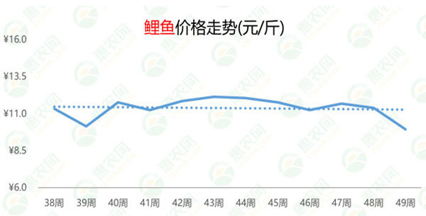 黑鱼最新价格,黑鱼最新价格分析，市场趋势与影响因素探讨