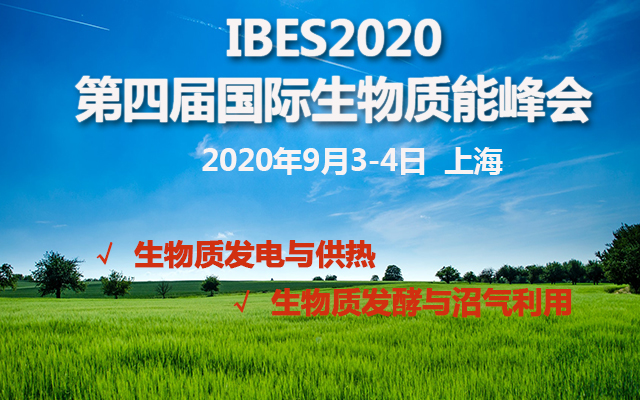 2024新澳门正版挂牌,探索新澳门正版挂牌的机遇与挑战，2024年的展望