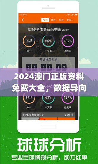 新澳2024资料免费大全版,新澳2024资料免费大全版，探索与解析