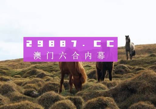 澳门4949开奖现场直播 开,澳门4949开奖现场直播，揭露背后的风险与挑战