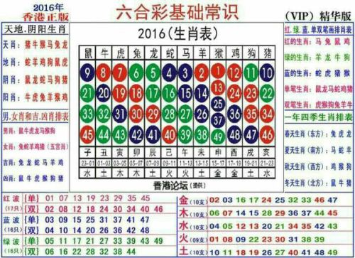 2024十二生肖49个码,揭秘十二生肖与数字码，探寻2024年十二生肖的49个神秘数字码