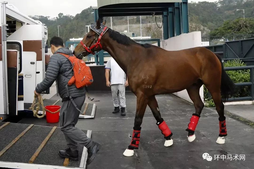 香港马买马网站www,香港马买马网站——探索赛马世界的领先平台