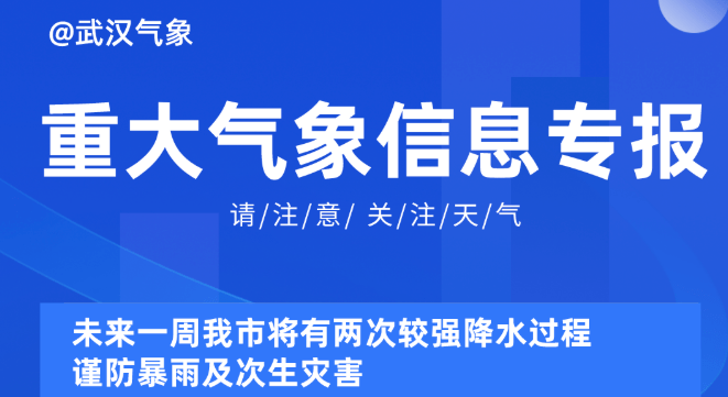 2024新奥资料免费精准175,探索未来，2024新奥资料免费精准获取之道（175期深度解析）