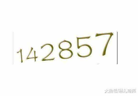 7777788888一肖一码,探索神秘数字组合，77777与88888一肖一码的秘密