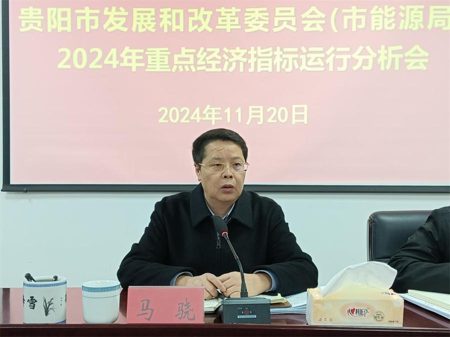 2024全年資料免費,迈向免费数据时代，探索未来的无限可能——以2024全年数据免费为例