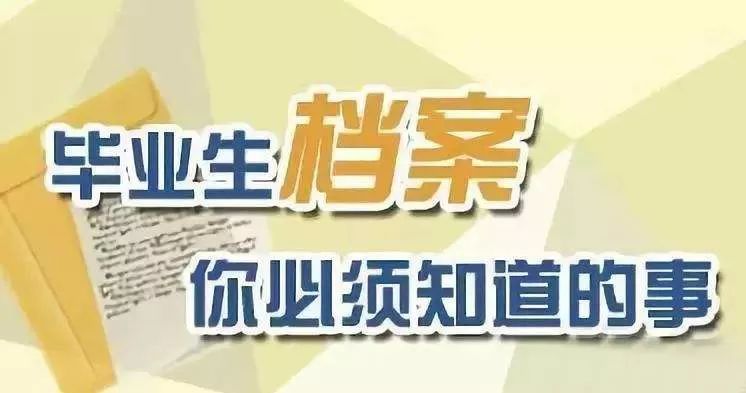 2024年新奥门管家婆资料先峰,揭秘2024年新澳门管家婆资料先锋