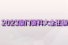 2023澳门正版全年免费资料,澳门正版全年免费资料，探索与启示