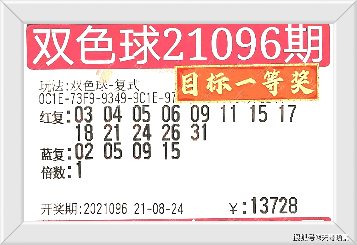 2025澳门今晚开奖号码香港记录,探索彩票奥秘，澳门与香港彩票开奖记录