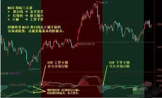 最准一肖一.100%准,揭秘最准一肖，神秘预测背后的真相——以100%准确性为承诺