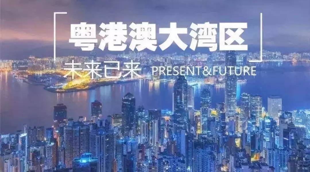 2025香港正版资料大全视频,香港正版资料大全视频，探索未来的关键信息宝库