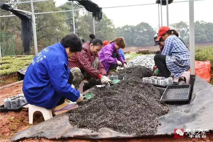 2025年2月10日 第11页