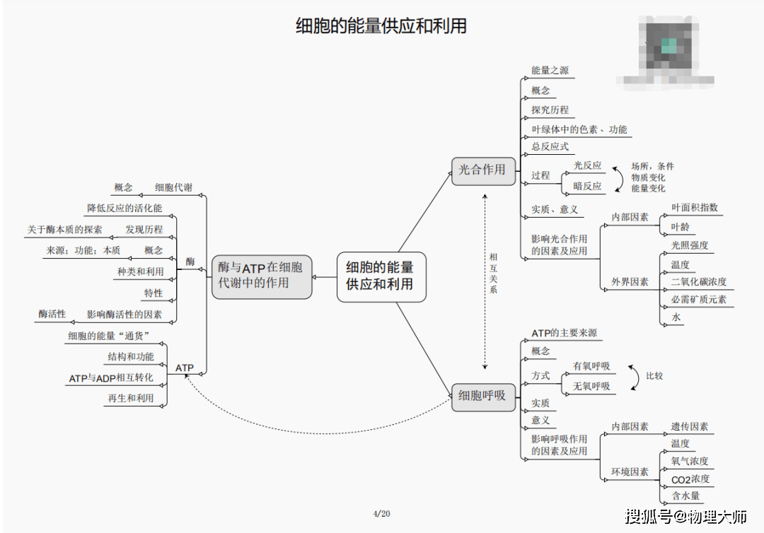 澳门三肖三期必出一期,澳门三肖三期必出一期，探索与解析