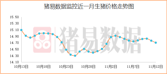 2025年2月12日 第50页