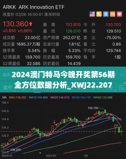 2025年今晚澳门特马,探索未来的幸运之门，2025年澳门特马展望