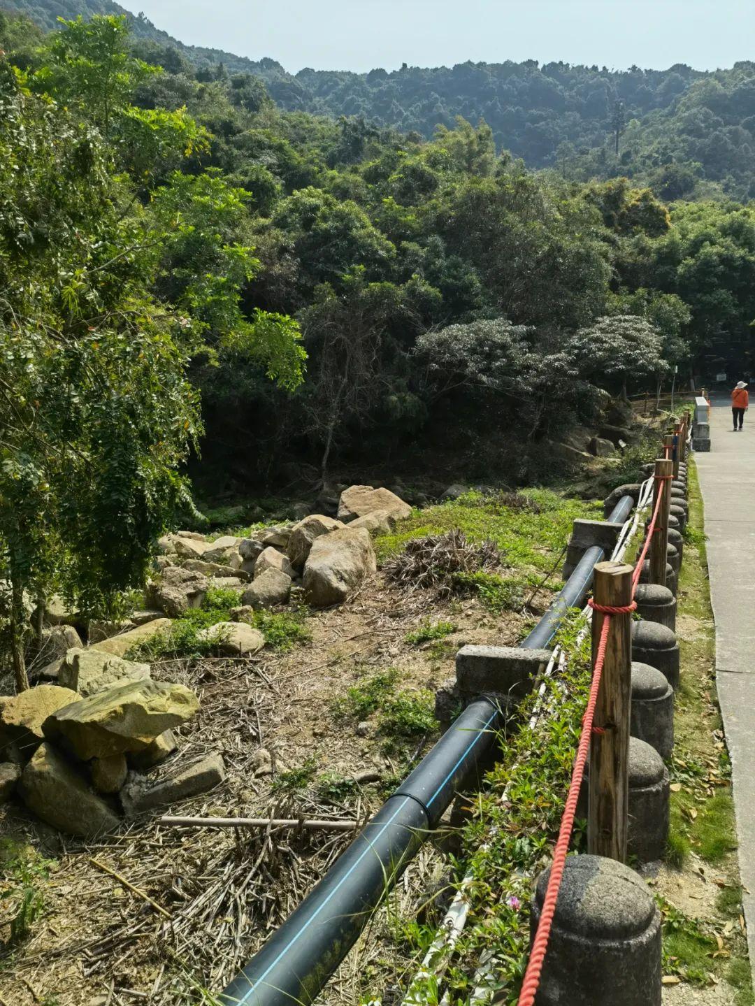 澳门雷锋心水论坛013期 02-03-05-08-09-39P：06,澳门雷锋心水论坛第013期，探索心水奥秘，弘扬雷锋精神——以数字06为引领