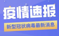 新澳精准正版资料免费119期 03-09-31-40-47-49Z：33,新澳精准正版资料免费分享，探索第119期的奥秘与数字魅力