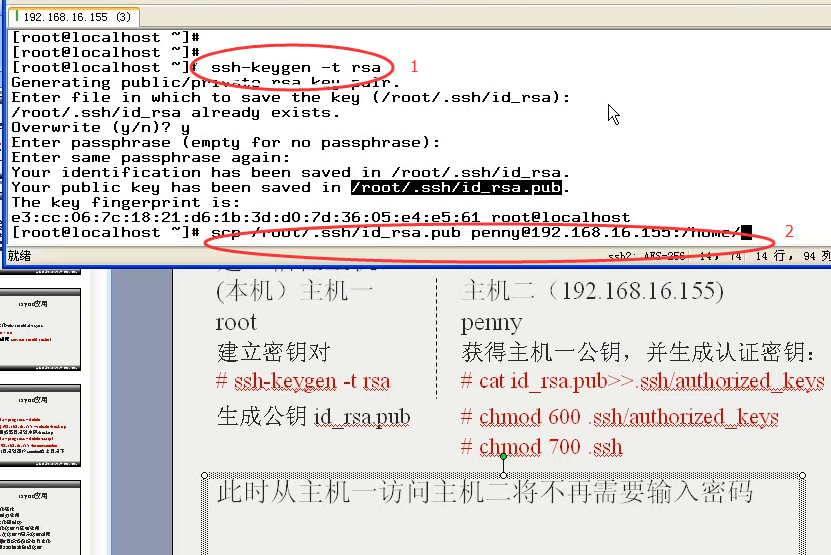 澳门三肖三码精准100%公司认证039期 03-08-12-15-16-39C：27,澳门三肖三码精准100%公司认证，揭秘彩票背后的秘密与探索真实可能性